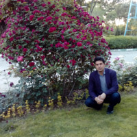 Mohammad Vali Balavandi