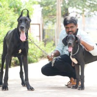 Anil Kumar