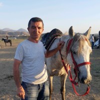 Murat Okur
