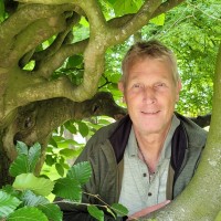 Hans Kliffen
