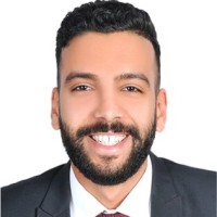 Abdel Meguid Adel