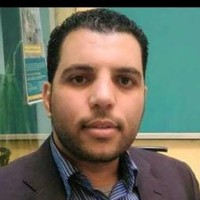 Hassan Seif Elnasr