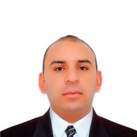 Luis Mauricio Perez Gomez - Pmp