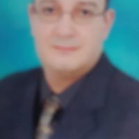 Tarek Elbaaginy
