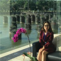 Anh Nguyen Hong