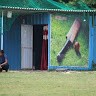 Cricket Knowledge