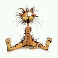 Michele Bush