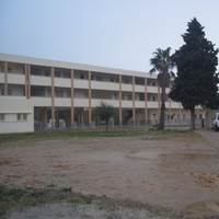 mohamed zergui
