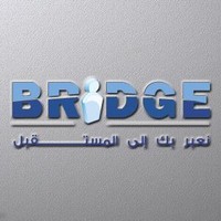 Bridge Consultants