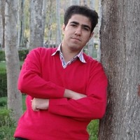 Amin Mirzaei