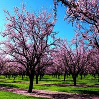 ROSALBA DELGADO MENDOZA