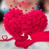 Saira Yasmeen