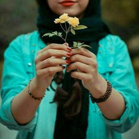 nasrin Z z