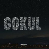 Gokulakrishnan S