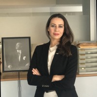 Elif Gursel