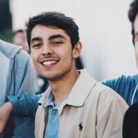 Luís Araújo