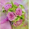 Ali Mohabbat
