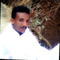 Temechew Alie