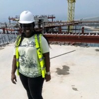 Oluwaseyi P. Afolabi M.Sc, PMP®