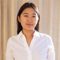 Yin Fei