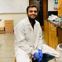 Mujtaba Ahmed