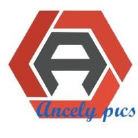 Ancely James