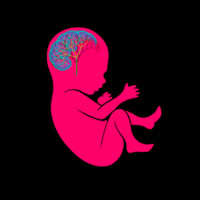 FRAKTAL Cinema Company