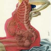 Dra. Graciela Campos