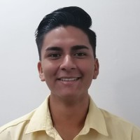 Pedro Valladares Bravo
