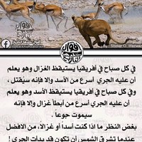 Hamza Hamza