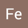 Fe C