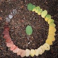 郭金龙