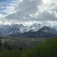 Deborah Frescas