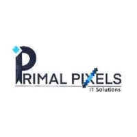 Primal-pixels IT solutions