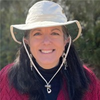 Shelley C Taylor, PhD