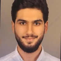 kareem kamali