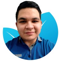Luis David Payan Montoya