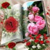 Nilam Ithape
