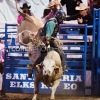 Dalton Shepard