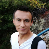 Goran Milojevic