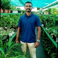 ILAVARASAN S