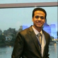 Ali Zain Al Abden Mostafa