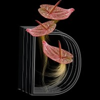 D Florenzo Events