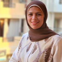 Wafaa Shaheen ,Pmp