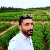 Abdelaziz Awad EL Akyadi, (PMP)®