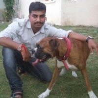 virendra singh chouhan