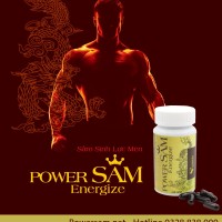 Power Sâm Việt Nam