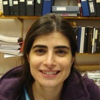 Hatice Mercan