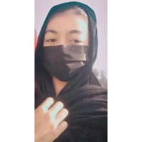 hina gull