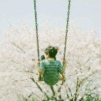 杨维伟